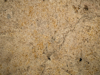 Cross section of soil background