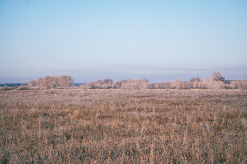 Fototapeta na wymiar Frozen dry grass in hoarfrost in a large meadow field. Beginning of winter, frost