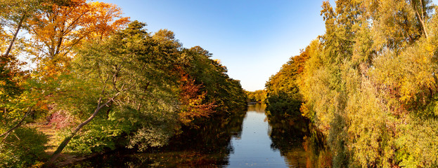 farbiges Herbstlaub in einem Wald an einem Fluss, Ahorn