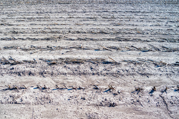 Ausgetrocknetes Feld, Deutschland