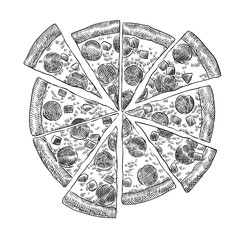 Italian pizza pepperoni cut into pieces hand drawn scetch vector
