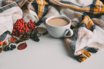 autumn flat lay: a warm scarf, a white cup with coffee and autumn leaves, mountain ash, berries and a pine cone. copy space 1