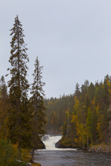 Cascada de Jyrävä, Parque Nacional de Oulanka, Finlandia