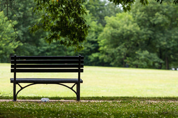 Bench in the park, at the foot of the pedestrian path. Rear view - image