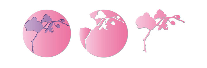 Set of isolated on white paper cut pink vectors with templates of cards and orchid phalaenopsis silhouette
