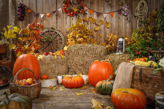 decoration autumn hay pumpkins and autumn gifts