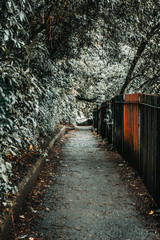 Old Walkway