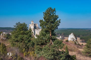 Zamki Jurajskie © Piotr