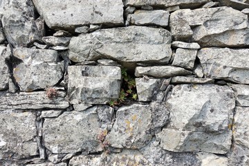 stone wall