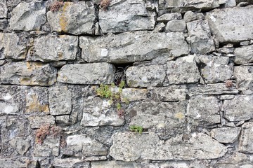 stone wall