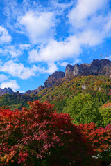 秋の妙義山。下仁田　富岡　群馬　日本。１１月上旬。