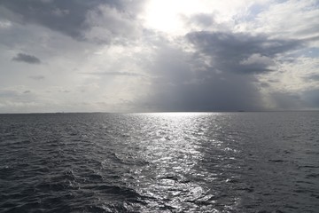 Fototapeta premium sea and sky in the silvery light of the sunset