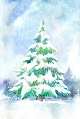 Landscape of a spruce and snow.Winter forest.Watercolor hand drawn illustration.
