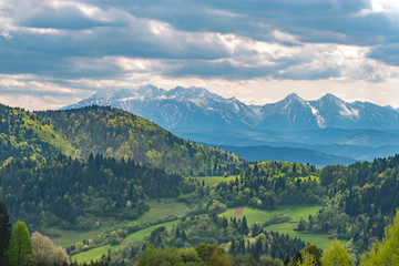 Obraz premium Szczawnica palenica