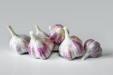 Useful plants, spices. Garlic on a gray background.