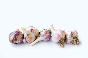 Useful plants, spices. Garlic on a white isolated background.
