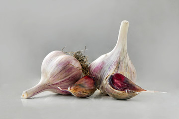 Useful plants, spices. Garlic on a gray background.