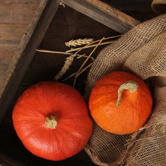 wo beautiful orange pumpkin lies in a wooden box with a rusty net, old bag, grunge, concept, close-up, copy space