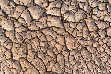 Top view of cracked dry soil