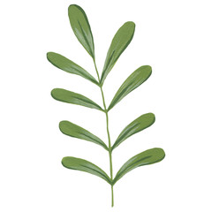 Acrylic flower and leaves on an isolated white background. Handmade artwork. Detailed floral work with bright colors. Art of nature.