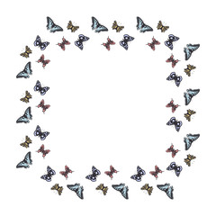 Cute colorful butterflies frame for wedding decoration. Gorgeous monarch exotic border. Vector isolated illustration.