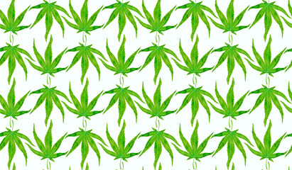 Japanese maple (marihuana shape) green leaves, hand painted watercolor illustration, seamless pattern design on white background