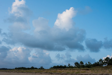 Fototapeta na wymiar Ile d'Yeu, environnement et paysage