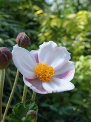 Fototapeta premium OLYMPUS DIGITAL CAMERA