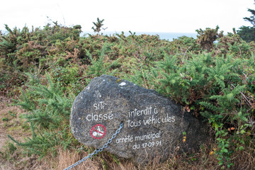 Ile d'Yeu, environnement et paysage
