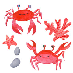 Merry crab, coral, starfish and beach pebbles. Watercolor children illustration.