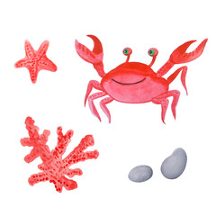 Merry crab, coral, starfish and beach pebbles. Watercolor children illustration.