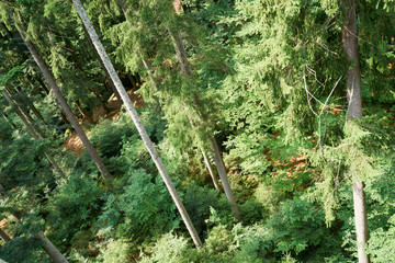 Nationalpark Bayrische Wald von Waldhäuser bis Neuschönau und rund um den Berg Lusen 1373m