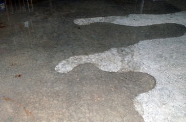 Water seeps slowly across the entire basement floor after heavy rain in Missouri. A professional is...