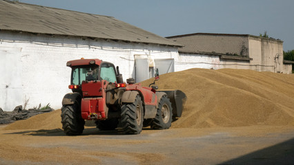 Tractor transports the grain. Granary with mechanical equipment for the shipment of grain. Agricultural farm.