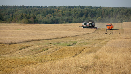 Combine harvester working on a wheat field.