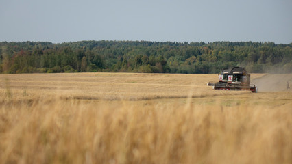 Combine harvester working on a wheat field.