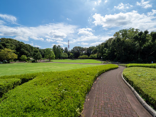 Obraz premium 埼玉県 川口市立グリーンセンターの風景