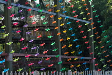 Obraz premium Colorful wind wheels arranged in the park under the green trees background