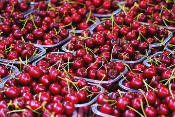 fresh cherries background