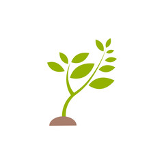 Fototapeta na wymiar Plant sprout graphic design template vector isolated