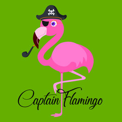 Cute Captaine flamingo, vector illustration