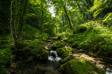 Obraz premium 兵庫県 吉滝の自然と風景