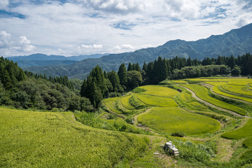 兵庫県 うへ山の棚田と原風景