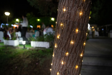 wedding moments bride dress decoration