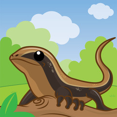 East Indian brown mabuya