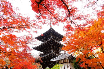 京都真如堂の紅葉