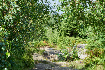 Nationalpark Bayrische Wald von Waldhäuser bis Neuschönau und rund um den Berg Lusen 1373m