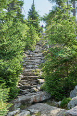 Nationalpark Bayrische Wald von Waldhäuser bis Neuschönau und rund um den Berg Lusen 1373m