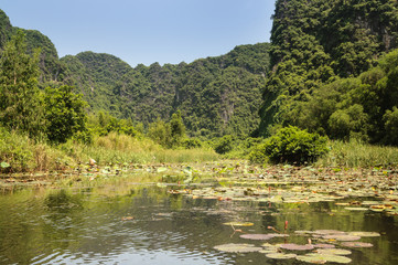 Tour en un bote de remos llamado samp&aacute;n por el rio Ngo Dong en Tam Coc, provincia de Ninh Binh, Vietnam
