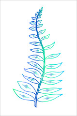 Color picture of a fractal leaf. Branch of a fern